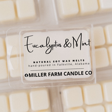 Load image into Gallery viewer, Eucalyptus &amp; Mint Soy Wax Melts
