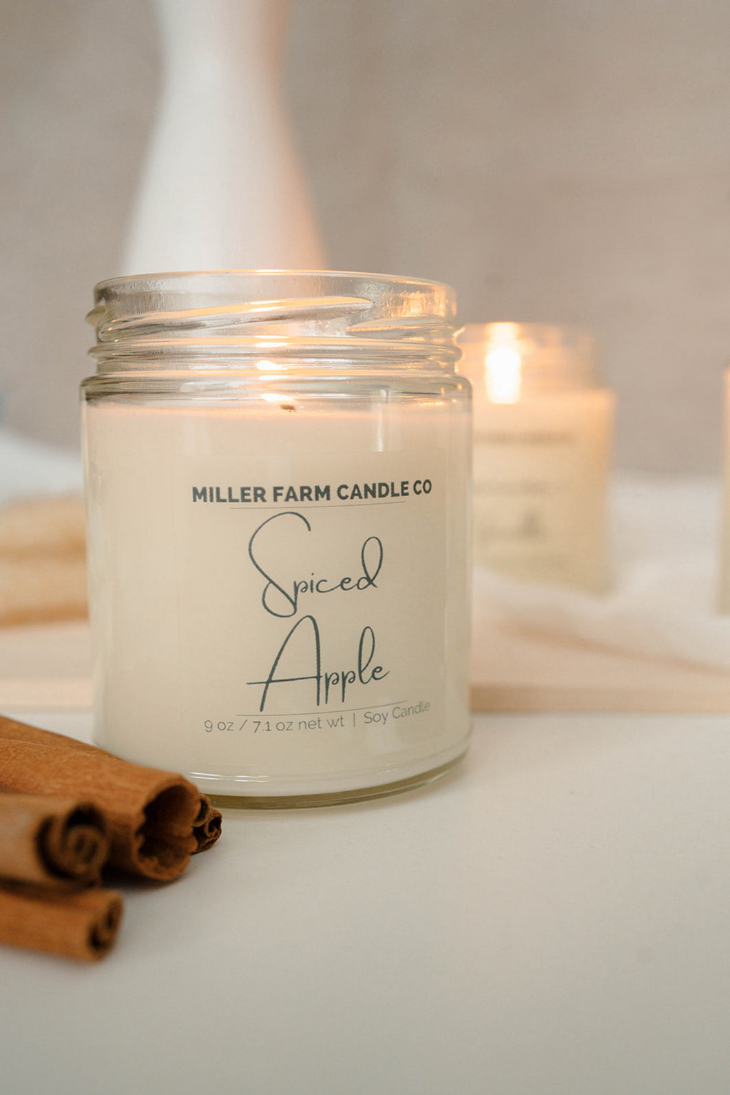 9 oz Soy Candle | Many Scents to Choose From